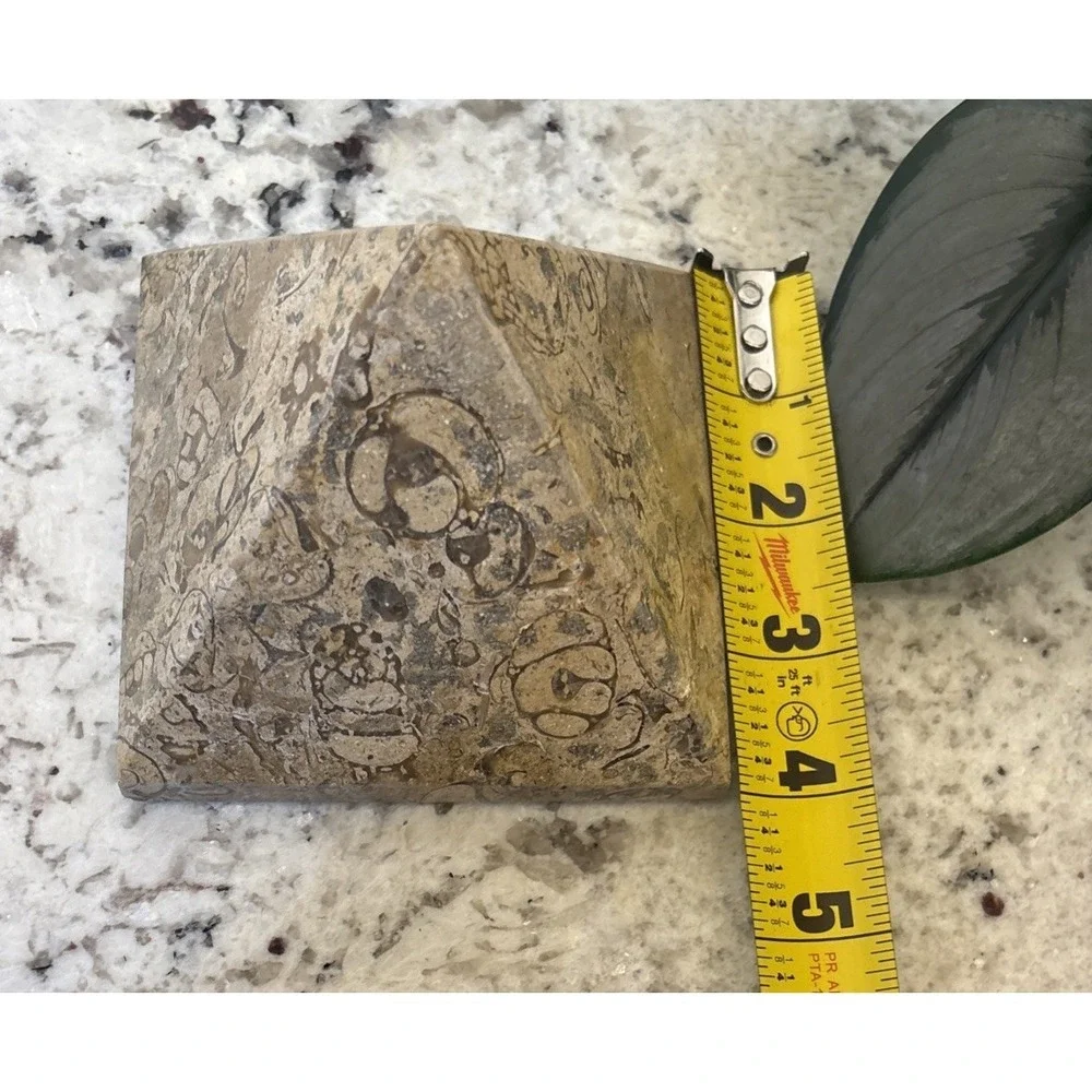 Pier One Fossil Stone Paperweight Pyramid Chakra Feng Shui Architectural Office